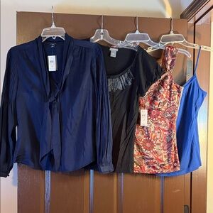 Ann Taylor Loft - Small Petite (4)